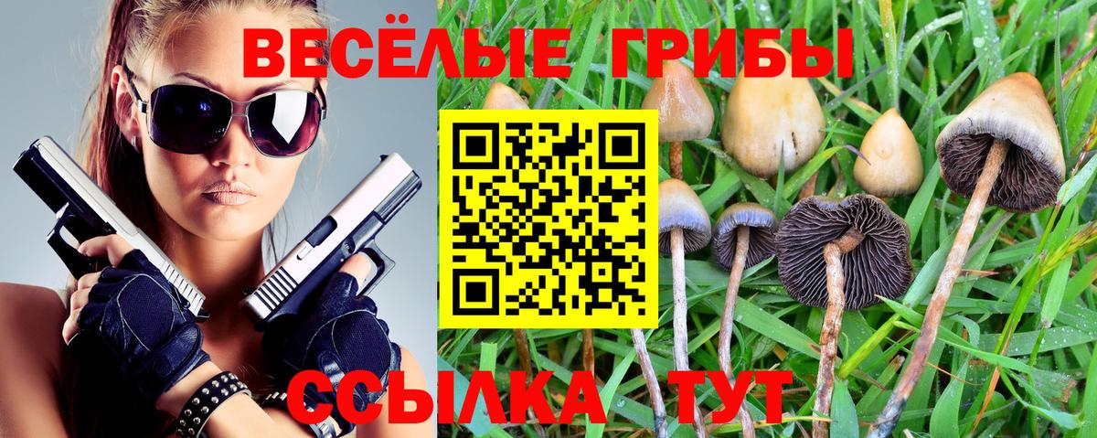 продажа наркотиков  Галлюциногенные грибы Cubensis  Вход с VPN  Тимашёвск 