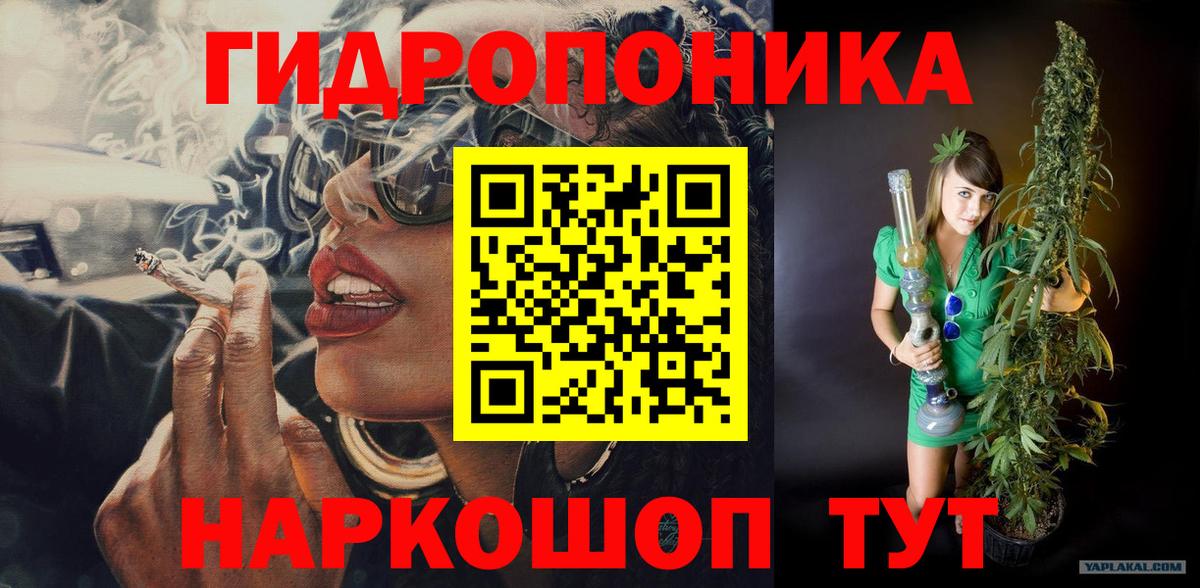 Тимашёвск  Марихуана Amnesia  Шишки марихуана Bruce Banner  Вход с VPN 
